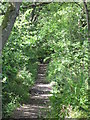 Footpath by the River East Allen