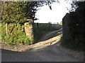 Bridleway to Exford