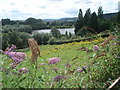 Bodenham gravel pits