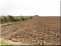 Recently deep ploughed field, Newton Park Farm