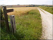 SE8667 : Centenary Way or Yorkshire Wolds Way by Clive Nicholson
