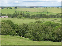NY8376 : Pastures and woodland south of Longlee Farm by Mike Quinn