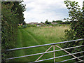 Allotments at Huntley