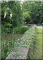 Stream and bridge, Tibberton