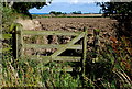 NU2106 : Field near Sturton Grange by Roger Temple