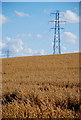 NU2107 : Pylons and barley by Roger Temple