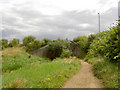 Bird sanctuary bridge over Trans Pennine Trail.