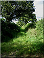 Green track towards Thurning Wood