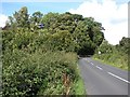 Country road to Lower Braidwood