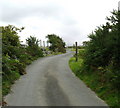 Lon Eithin Fynydd - a twisty country road