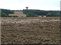 View over farmland at Thorpe Audlin to Upton Water Tower.