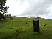 NY6766 : Pasture and sign near the carpark at Walltown Crags by Darrin Antrobus