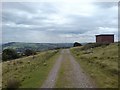 SE1444 : Track on Burley Moor by Rich Tea