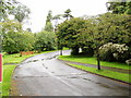 Driveway to Servite Priory, Benburb.