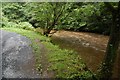 Path and river, Clare Glen, Tanderagee