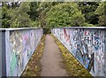 Footbridge over the railway, Longwood