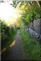 Footpath to school, Barton Stacey