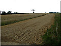 Unusual farm track near Bale Hall