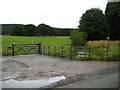 Footpath and stream