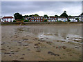 Seafront houses, Pelhamfield