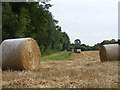 Bales along the Hedgerow