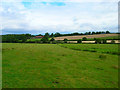 Farmland Around Newnham Farm