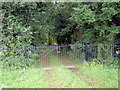 SK5690 : Wrought iron gate. by Steve  Fareham