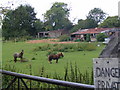 Smallholding next to Tring Cemetery