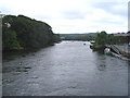 Afon Teifi