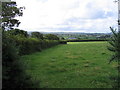 Farmland near Rhyd-yr-hwyaid