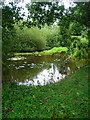 Pond near Park Farm