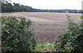 Arable land on the edge of Fazeley