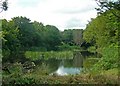 Pond at Ury Home Farm, Kincardineshire