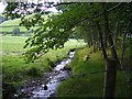 Stream running alongside the Severn Way