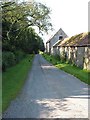 Country road near How Caple Court