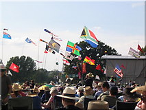 SP4745 : Cropredy Festival flags, 2007 by Stephen Williams