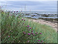 Beach at West Haven park