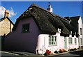 Wareham: pink thatched cottage