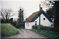 West Chelborough: cottage and lane