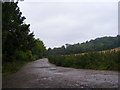 Unmade Road from New Wellbury to Wellbury House