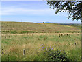 Farmland south-southeast of Burnhead