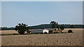 Wheatfield and barns.