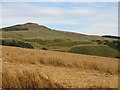 Quarry, Denholm Hill