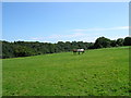 Rural view with Avon valley beyond