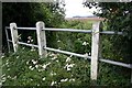 The infant River Wissey heading towards Bradenham