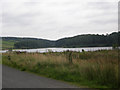 View across Seagahan Dam from Ballymacawley Road