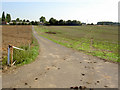 Farm road to Burntwood Grange farm.