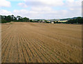 Harvested Field