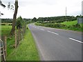 Tandragee Road, Markethill near the Junction with the Poyntzpass Road.