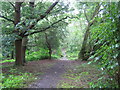 Monken Hadley Common